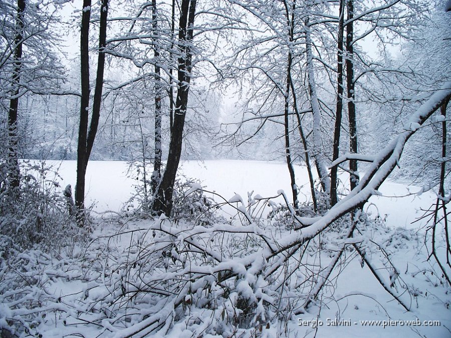 03 Laghetto del Gres innevato.JPG